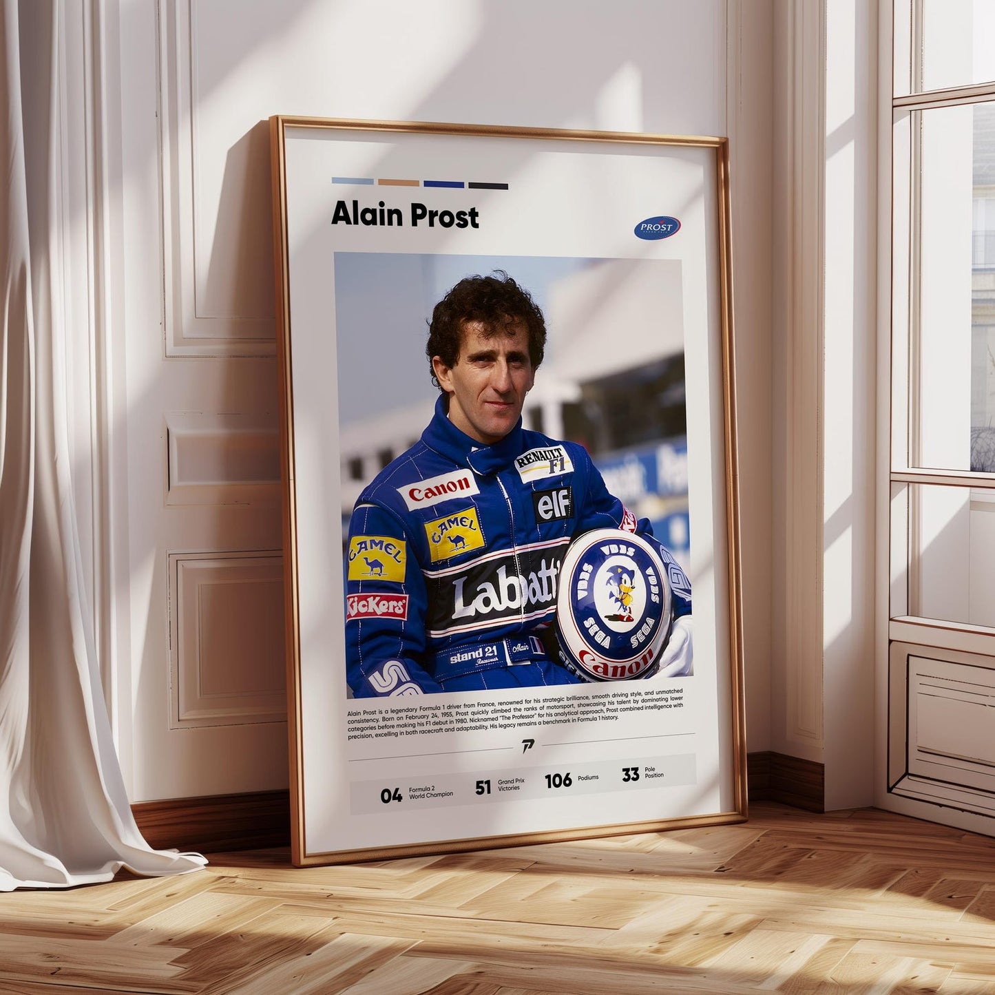 AYRTON SENNA,NIKI LAUDA,ALAIN PROST  | F1 FRAMES | MODERN LUXURY HOME DECOR GIFT CAR